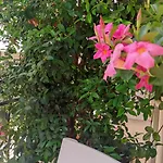 Dimora Francesca 3*